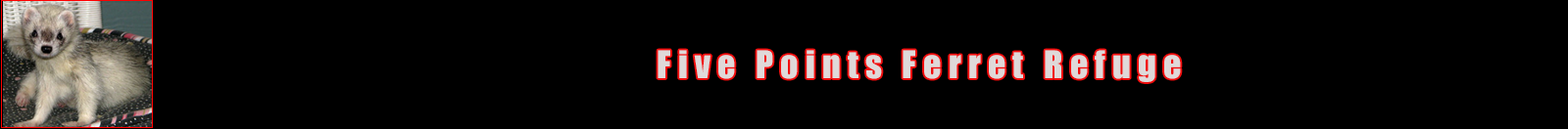 Five Points Ferret Refuge