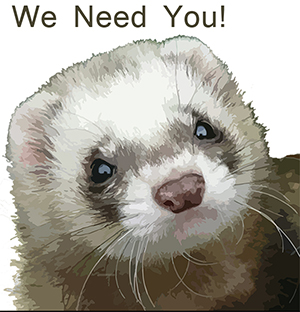 Most of all, we need YOU